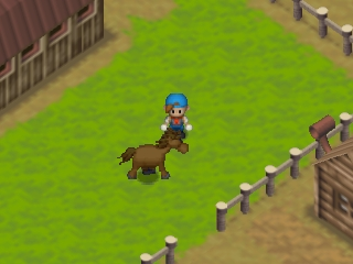 Harvest Moon 64 (USA) background