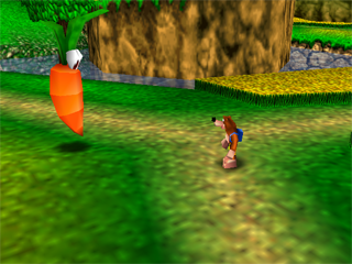 Banjo-Kazooie (USA) (Rev A) background