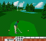PGA Tour 96 (USA, Europe) background
