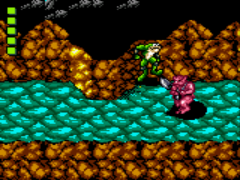 Battletoads (Europe) background