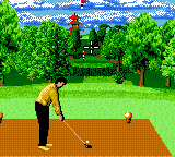 Ernie Els Golf (Europe) (En,Fr,De,Es,It) background