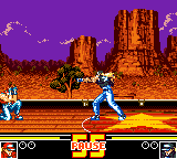 Garou Densetsu Special (Japan) background
