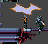 Wolfchild (USA, Europe) background