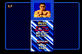 Pit Fighter (Brazil) background