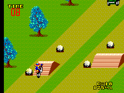 Enduro Racer (USA, Europe) background