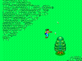 Ninja (Japan) background