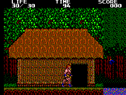 Danan - The Jungle Fighter (Europe) background