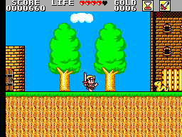 Super Wonder Boy - Monster World (Japan) background