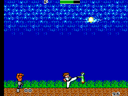 Kung Fu Kid (USA, Europe) background